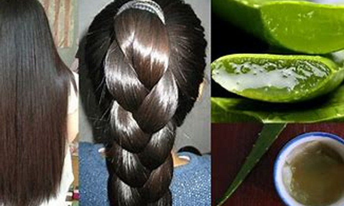  Precautions, Hair Care, Hair Care Tips, Long Hair, Hair, Latest News, Beauty, B-TeluguStop.com