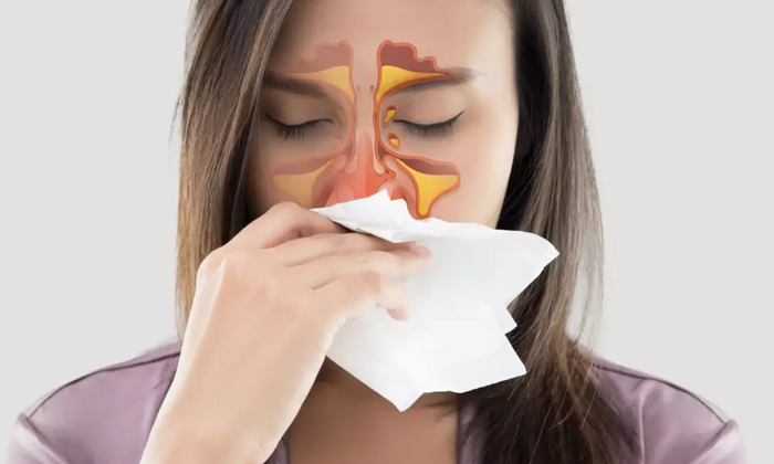 Telugu Care, Tips, Sinus Problems-Latest News - Telugu