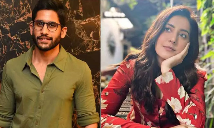 Telugu Career, Glamouros, Kollywood, Nagachaitanya, Rashi Khanna, Thanku, Tollyw