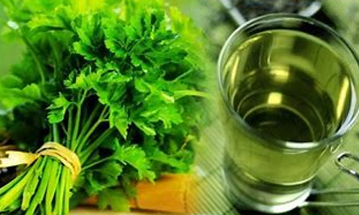 Telugu Coriander, Drumstick, Eye, Gongura, Tips, Healthy Eyes-Telugu Health - 