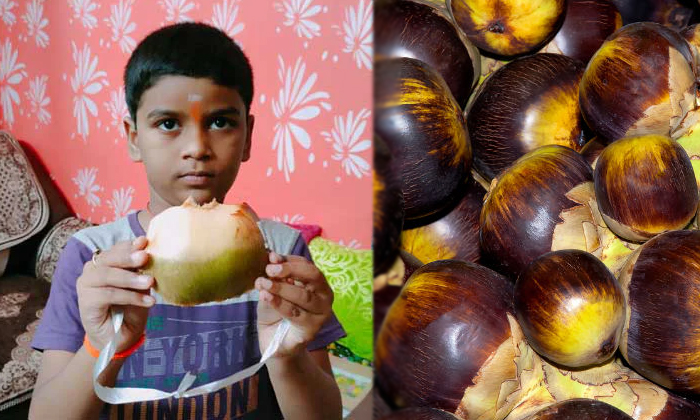 Telugu Corona, Eco Friendly, Palm Fruit, Prepared, Latest-Latest News - Telugu