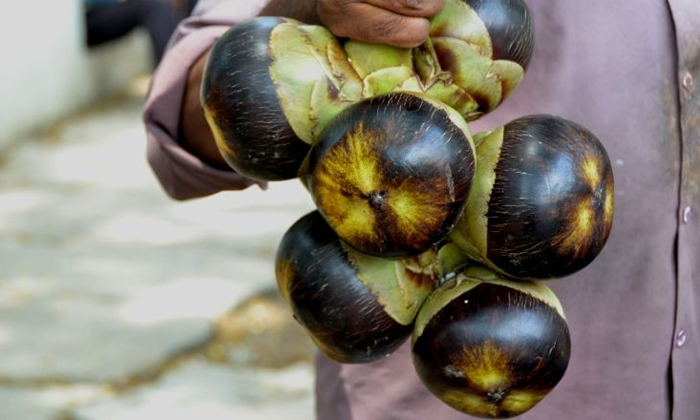  Viral Video Boy Prepared Corona Mask With Palm Fruit, Viral Latest, Viral News,-TeluguStop.com