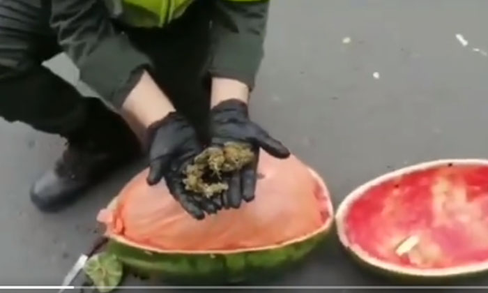 There's No Melon On The Surface. It's A Shock To See The Faults Water Melon, Vi-TeluguStop.com