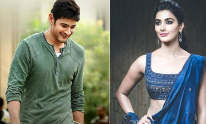 Telugu Crors, Purpose, Mahesh Babau, Mahesh Babu, Pooja Hegdhe, Trivikram-Latest