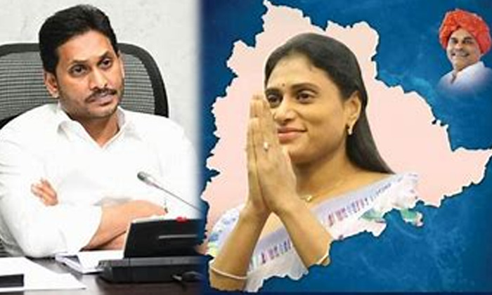 Telugu Ap, Ys Jagan, Ys Sharmila, Ys Vijayamma, Ysr Jayanthi, Ysr Vardhanthi, Ys