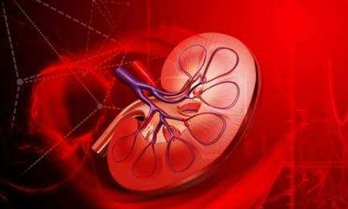  And Check For Dialysis With An Artificial Kidney . Artificial Kidney, Health Car-TeluguStop.com