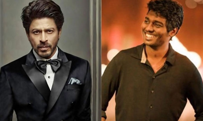  Thalapathy Vijay To Do A Special Role In Shah Rukh Khan And Atlees Movie Thalapa-TeluguStop.com