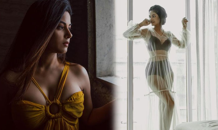 Bollywood Actress Meera Chopra Spells Magic On Us With Her Beautiful Pictures-telugu Actress Photos Bollywood Actress Me High Resolution Photo