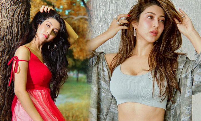 Bollywood Beauty Sonarika Bhadoria Sizzling Looks In The Pictures-telugu Actress Photos Bollywood Beauty Sonarika Bhador High Resolution Photo