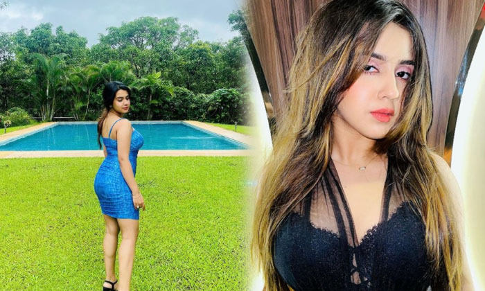 Bollywood Beauty Roshni Walia Looks Gorgeous In This Pictures-telugu Actress Photos Bollywood Beauty Roshni Walia Looks  High Resolution Photo