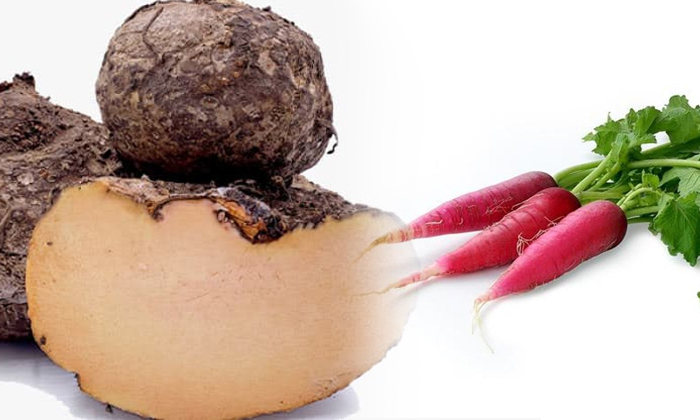  It Is Dangerous For Diabetics To Eat These Root Vegetables! Diabetics, Root Vege-TeluguStop.com