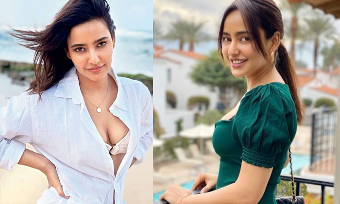  Neha Sharma Glamour Treat Video Viral In Social Media , Glamour Treat, Neha Shar-TeluguStop.com