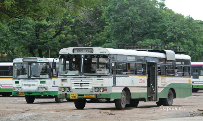  Tsrtc To Change The Color Of City Buses!!-TeluguStop.com