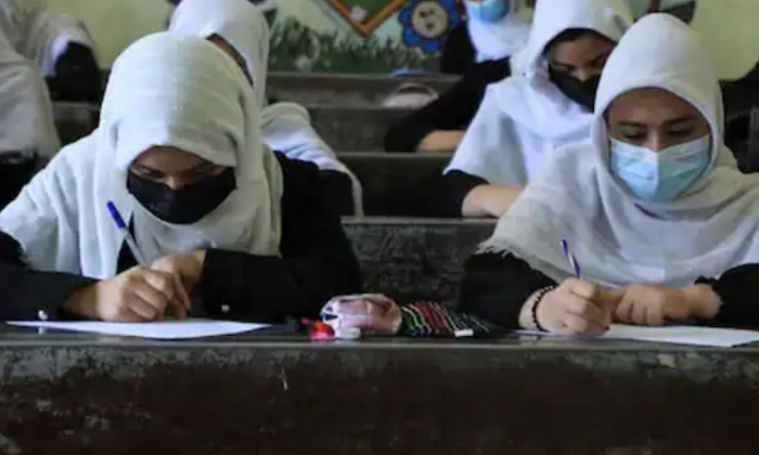  Taliban Make Sensational Decision On Women's Education In Afghanistan, Taliban,-TeluguStop.com
