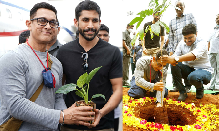  Versatile Actor Amir Khan Participated In Green India Challenge-TeluguStop.com