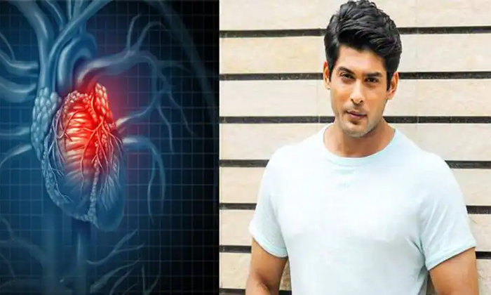  Why Heart Attack Is Becoming Common Among Young People, Biggboss 13, Cigarrette-TeluguStop.com