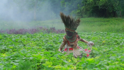  Activist’s ‘organic Theatre’ To Promote Natural Farming In Ker-TeluguStop.com