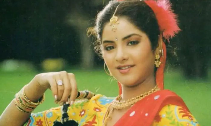  Heroines Got Chance After Divya Bharti Death-TeluguStop.com