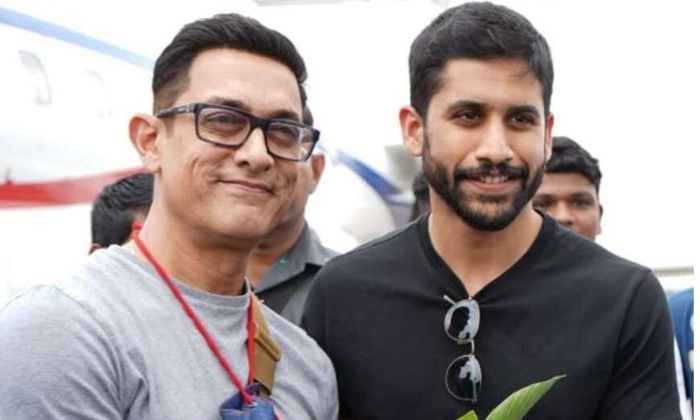  Akkineni Family Celebration With Aamir Khan Photo Viral,naga Chaitanya, Love Sto-TeluguStop.com