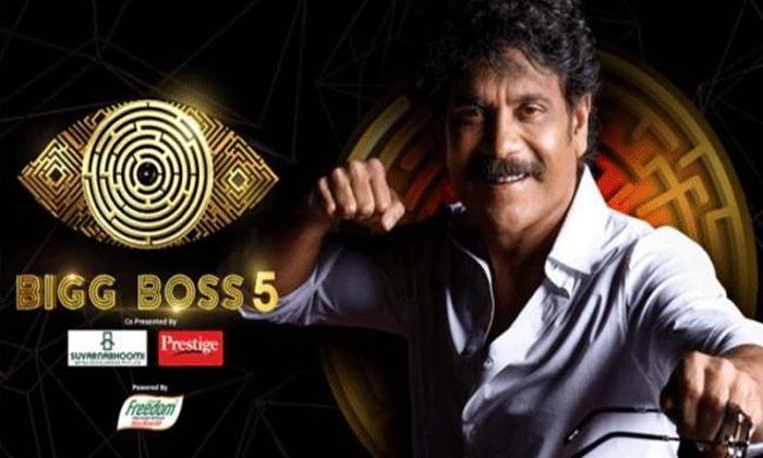  Bigg Boss 5 Telugu Winner Declared Google Details Inside, Bigg Boss 5 Telugu, Go-TeluguStop.com