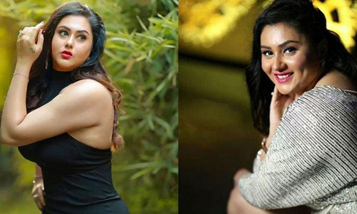 Telugu Namitha, Tollywood-Movie