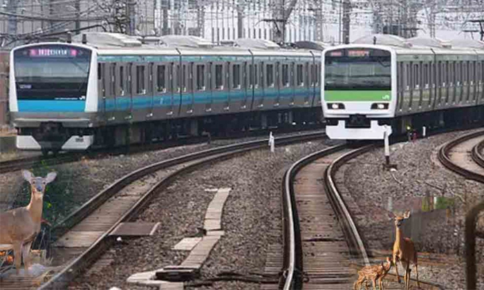  Japan Trains Sound Horn Be Like Dogs Barking Because, Japan Trains ,sound Horn,-TeluguStop.com