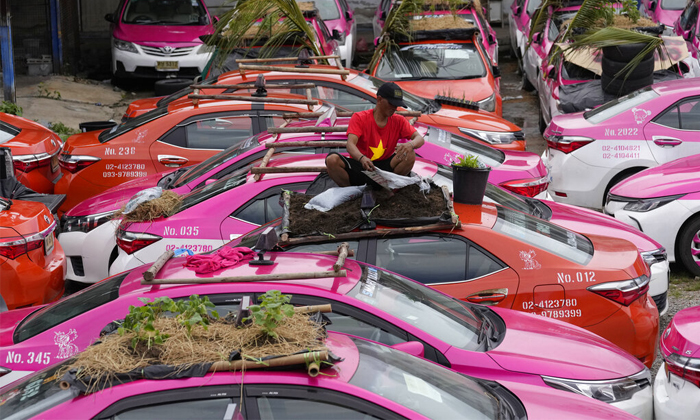  Mini Gardens On Cars Thailand Taxi Drivers Strange Thought, Mini Gardens ,cars,-TeluguStop.com