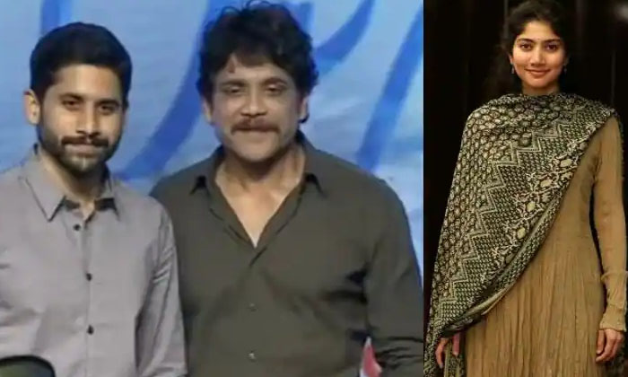  Sai Pallavi Comments On Nagarjuna At Love Story Success Meet Nagarjuna, Sai Pall-TeluguStop.com