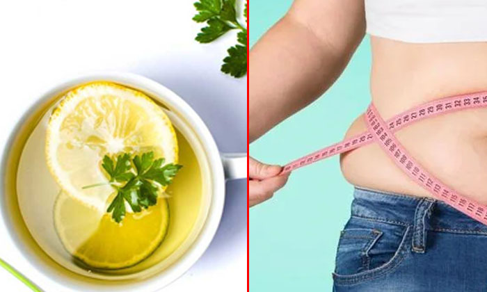  Wonderful Health Benefits Of Parsley Tea! Health, Benefits Of Parsley Tea, Parsl-TeluguStop.com