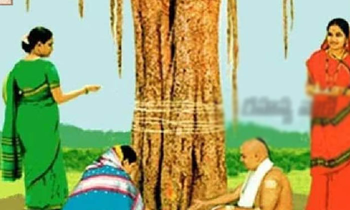  Do You Know When To Worship The Raavi Tree-ఎంతో పవిత్రమైన రావిచెట్టుకు ఎప్పుడు పూజలు చేయాలో తెలుసా-Latest News - Telugu-Telugu Tollywood Photo Image-TeluguStop.com
