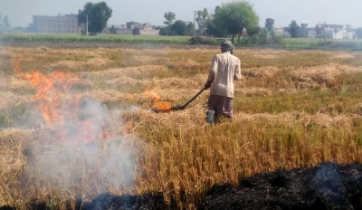  Punjab Appoints 8,500 Nodal Officers To Monitor Stubble Burning-TeluguStop.com