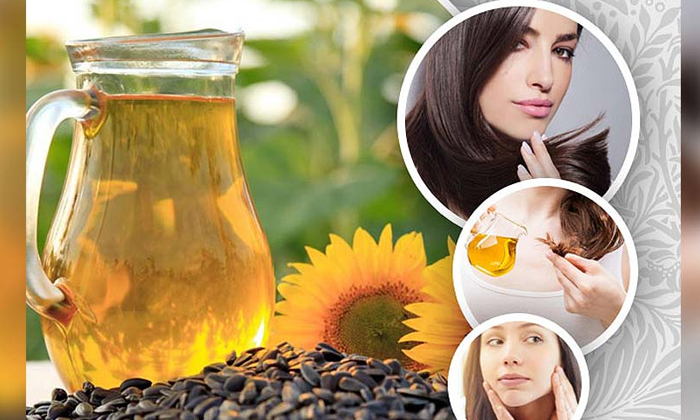  Sunflower Oil Helps To Get Rid Of Dry Skin! Benefits Of Sunflower Oil, Sunflower-TeluguStop.com