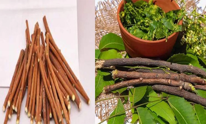  Viral Do You Know How The Neem Stick Is Selling With Huge Price On Organic Tooth-TeluguStop.com