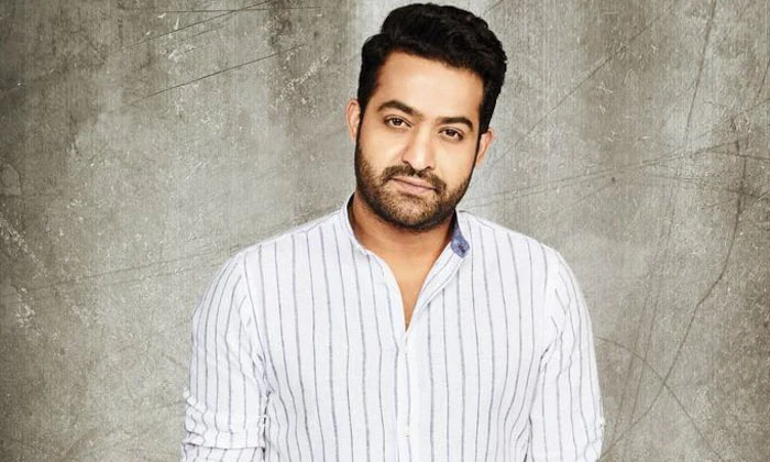 Telugu Harikrishna, Jr Ntr, Intrest Cricket, Rrr, Tollywood, Cricket-Movie