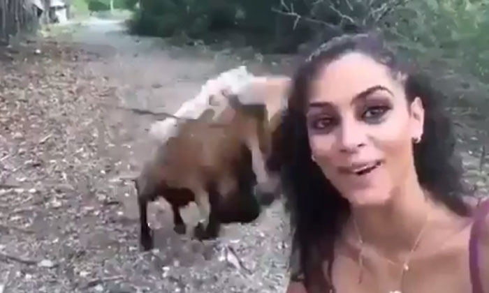  A Young Woman Who Wanted To Take A Selfie With A Goat But In The End Viral Pi-TeluguStop.com