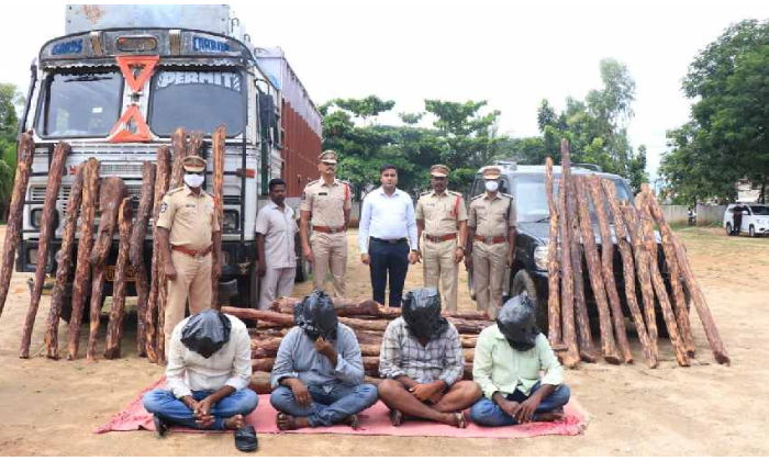  Ap Police Held The Most Wanted International Red Sanders Smuggler-TeluguStop.com