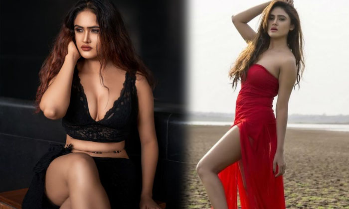 Actress Sony Charishta Looks Fiery Hot In This Pictures-telugu Actress Photos Actress Sony Charishta Looks Fiery Hot In  High Resolution Photo