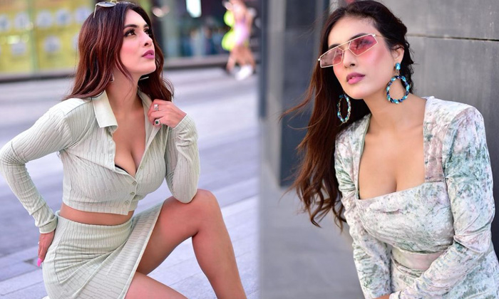 Bollywood Actres Neha Malik Slays With This Pictures - Hotactress Neha Malik Nehamalik Pics High Resolution Photo
