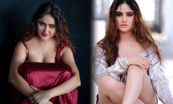 Bollywood Hot Actress Sony Charishta Romantic Poses-telugu Actress Photos Bollywood Hot Actress Sony Charishta Romantic High Resolution Photo