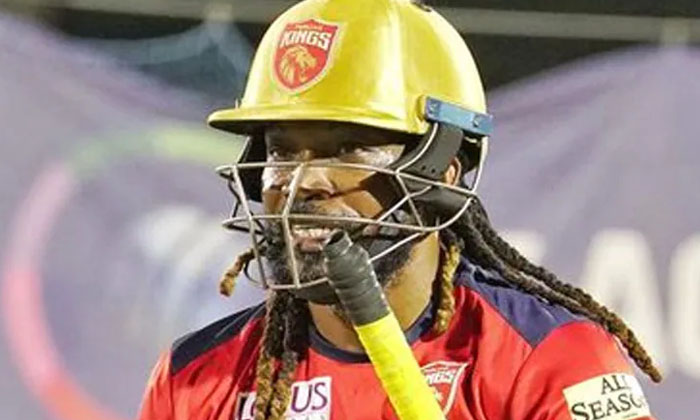  Chris Gayle Out Of Ipl Ipl, Cris Gayle,sports, Updates, Latest News, Viral Lates-TeluguStop.com