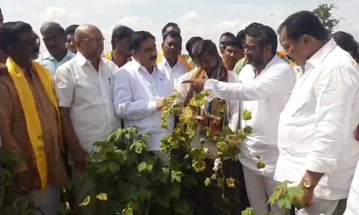  Former Ministers Kalva Srinivasan Somishetti Venkateshwarlu And Ke Shyam Babu In-TeluguStop.com