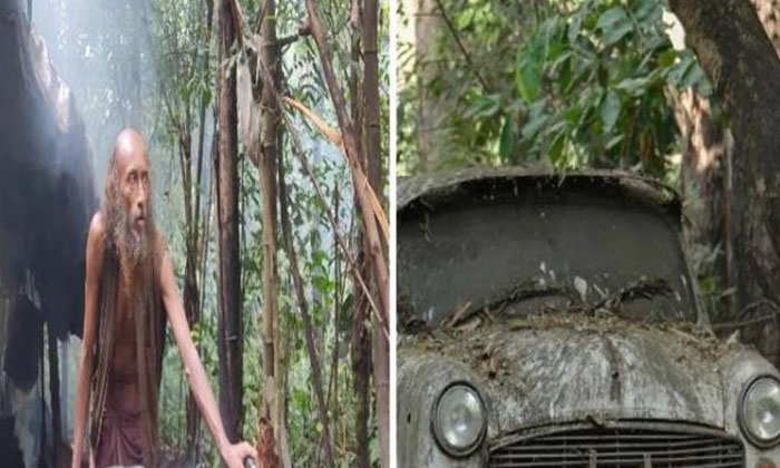 Telugu Ambassador Car, Forest, Karnataka, Karnatakalived-Latest News - Telugu
