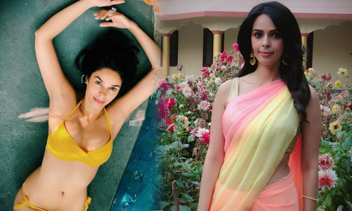 Mallika Sherawat Looking Gorgeous In This Picture-telugu Actress Photos Mallika Sherawat Looking Gorgeous In This Pictur High Resolution Photo