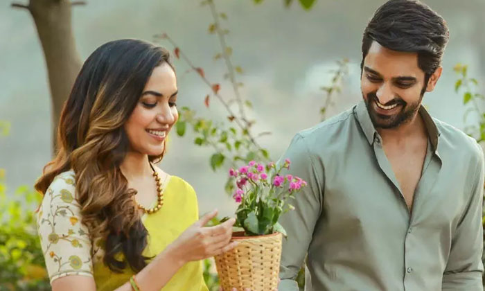  Naga Shourya Varudu Kavalenu New Release Date,naga Shourya  ,varudu Kavalenu ,re-TeluguStop.com