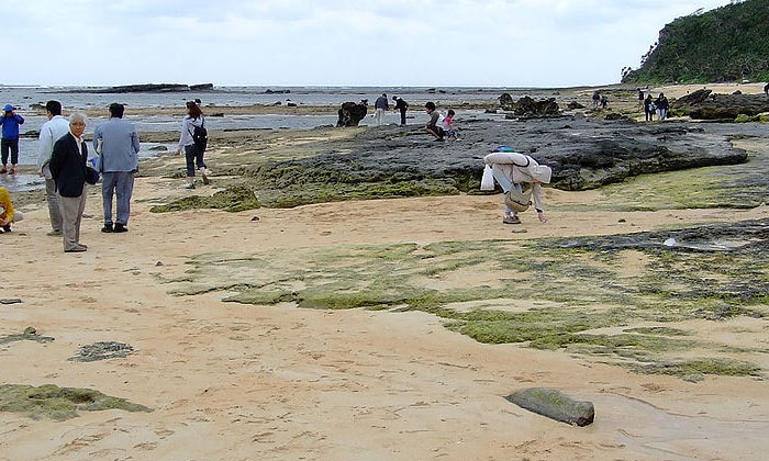 Telugu Japan, Sand, Sand Beache, Japanssand-Latest News - Telugu
