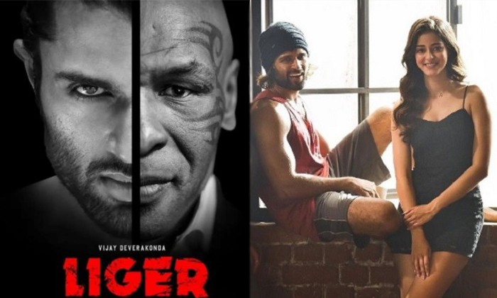Telugu Ananya Panday, Liger, Mike Tyson, Prui Jagannath, Rowdy, Tollywood-Movie