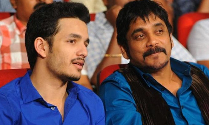 Telugu Akhil Akkineni, Akhileligible, Nagarjuna, Tollywood-Movie