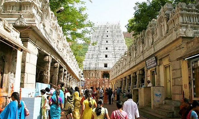  New Rules For The Darshan Of Srivari Devotees ..! Ttd, Tirumala Tirupati Temple,-TeluguStop.com