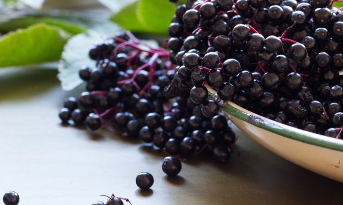  Wonderful Health Benefits Of Acai Berries! Acai Berries, Benefits Of Acai Berrie-TeluguStop.com