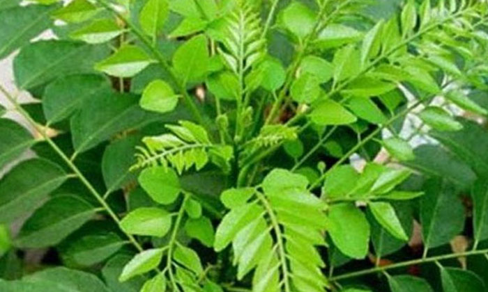 Telugu Sugar Levels, Diabetes, Diabetic, Tips, Latest-Telugu Health - తెల�